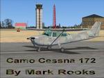 FSX
                  Cessna 172 Low luster Camo Default Textures only.